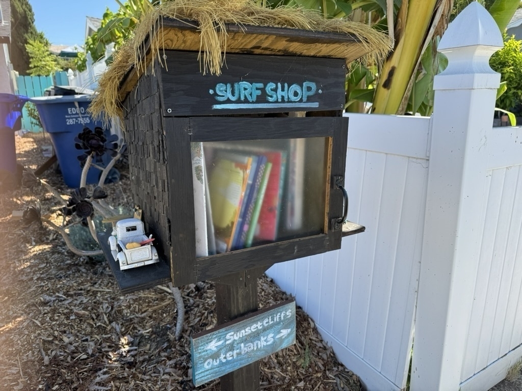 Auto-generated description: A small, surf-themed outdoor library with a thatched roof holds various books and a toy vehicle.