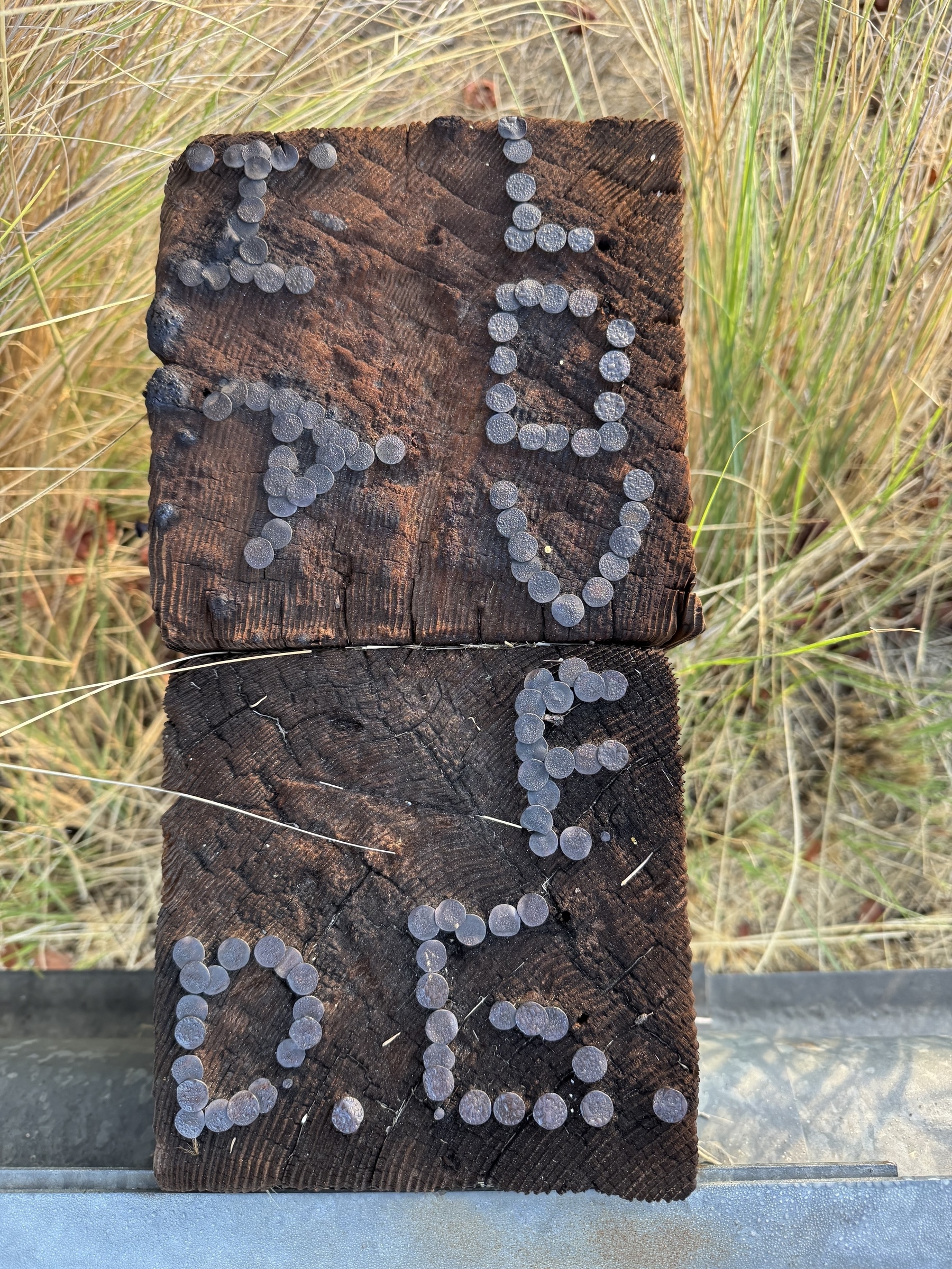 Two adjoining rough wooden surfaces have nails arranged to spell I LOVE D.B. with grass in the background.
